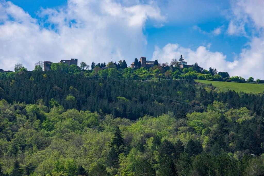 Villa Blanche, Contemporary, Cathars, Couiza, Carcassonne מראה חיצוני תמונה