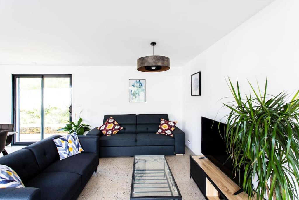 Villa Blanche, Contemporary, Cathars, Couiza, Carcassonne מראה חיצוני תמונה